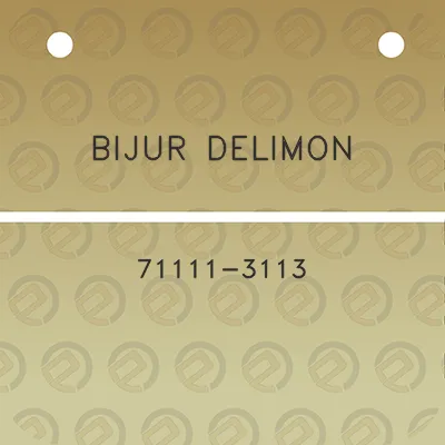 bijur-delimon-71111-3113