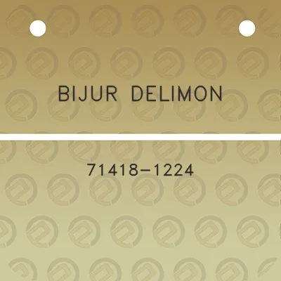 bijur-delimon-71418-1224