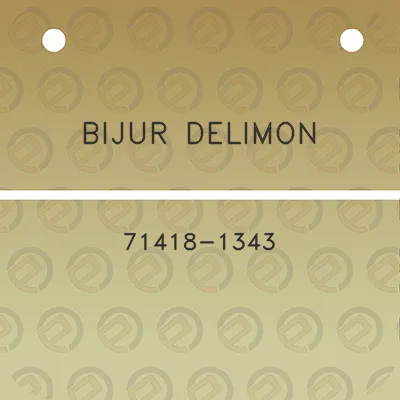 bijur-delimon-71418-1343