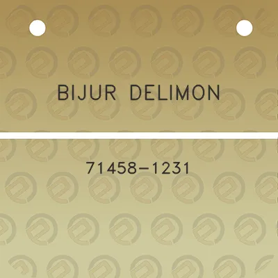 bijur-delimon-71458-1231