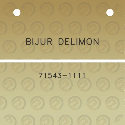 bijur-delimon-71543-1111