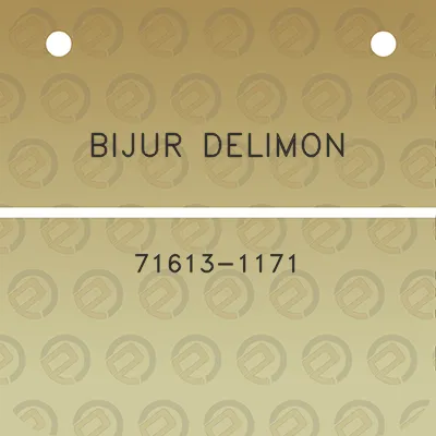 bijur-delimon-71613-1171