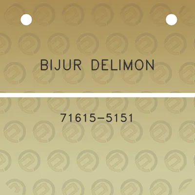 bijur-delimon-71615-5151