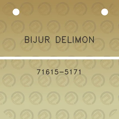 bijur-delimon-71615-5171