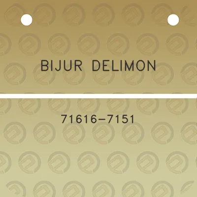 bijur-delimon-71616-7151