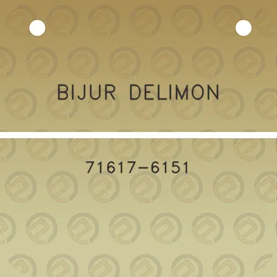 bijur-delimon-71617-6151