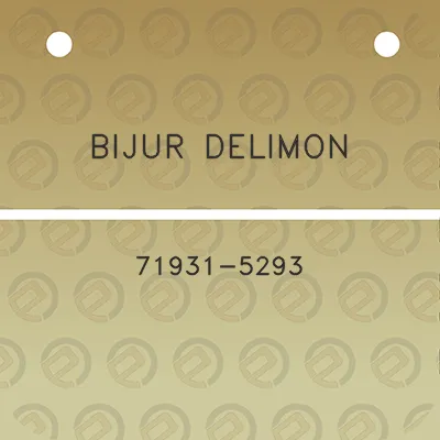 bijur-delimon-71931-5293