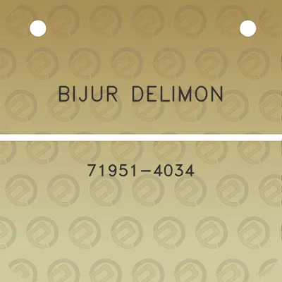 bijur-delimon-71951-4034