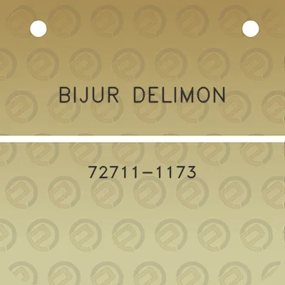 bijur-delimon-72711-1173