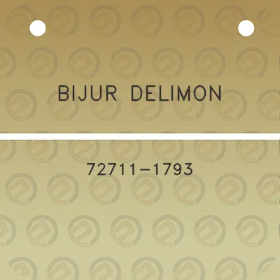 bijur-delimon-72711-1793