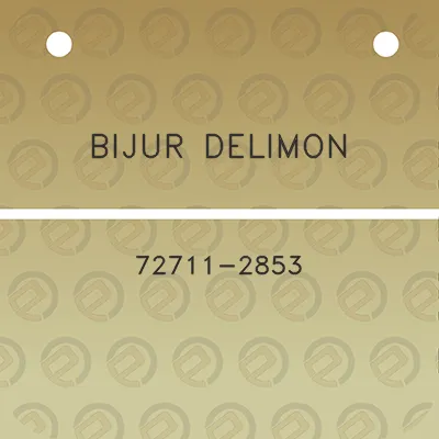 bijur-delimon-72711-2853