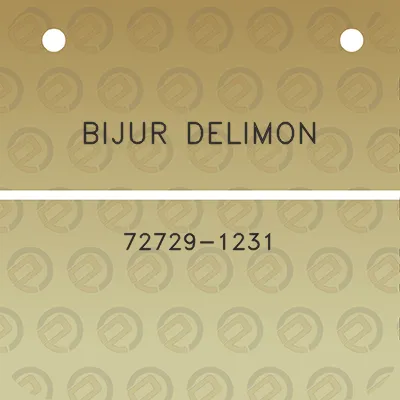 bijur-delimon-72729-1231