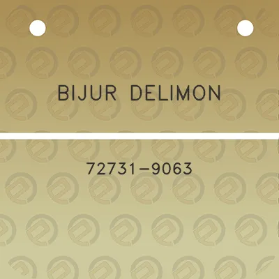 bijur-delimon-72731-9063