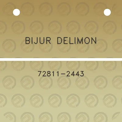 bijur-delimon-72811-2443