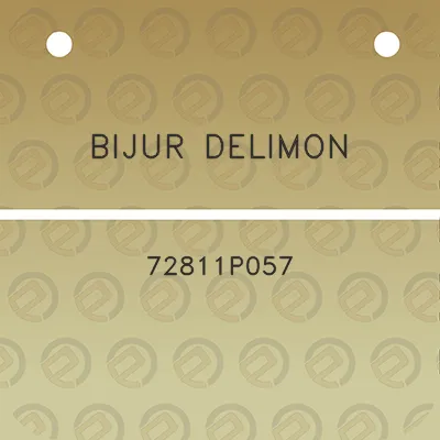 bijur-delimon-72811p057