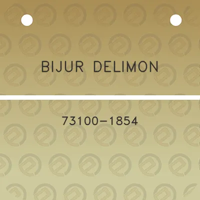 bijur-delimon-73100-1854