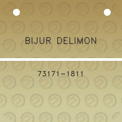 bijur-delimon-73171-1811