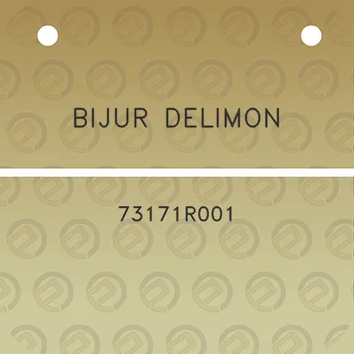 bijur-delimon-73171r001