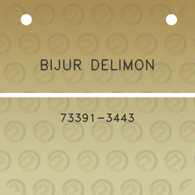 bijur-delimon-73391-3443