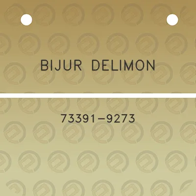 bijur-delimon-73391-9273