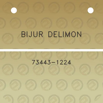 bijur-delimon-73443-1224