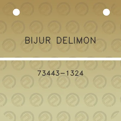 bijur-delimon-73443-1324