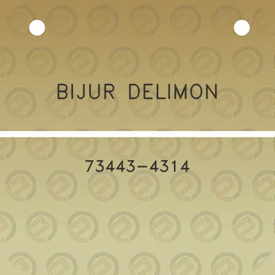 bijur-delimon-73443-4314