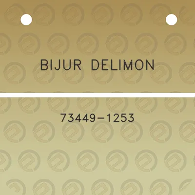 bijur-delimon-73449-1253