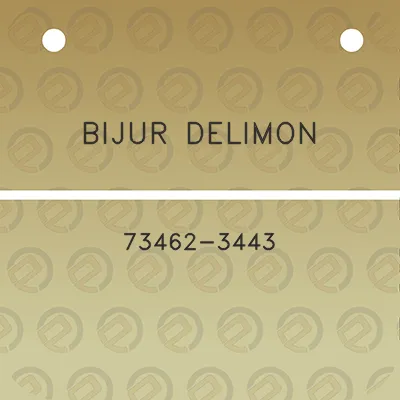 bijur-delimon-73462-3443