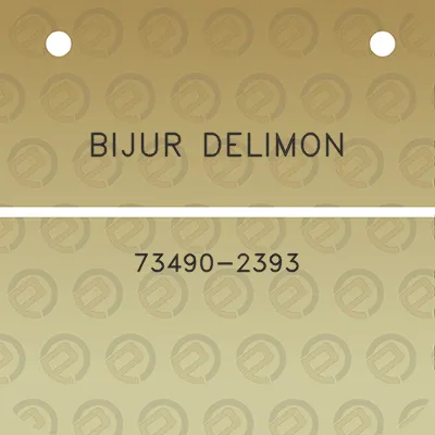 bijur-delimon-73490-2393