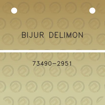 bijur-delimon-73490-2951