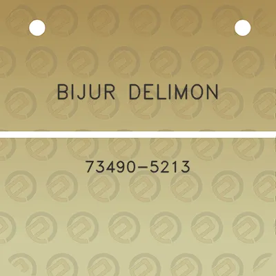 bijur-delimon-73490-5213