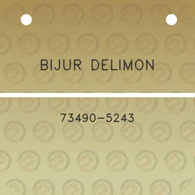 bijur-delimon-73490-5243