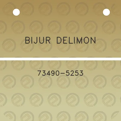 bijur-delimon-73490-5253