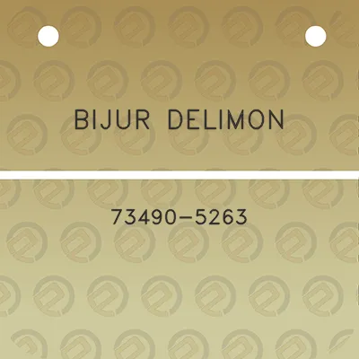 bijur-delimon-73490-5263