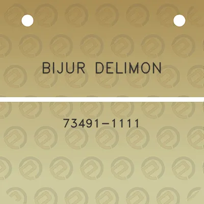 bijur-delimon-73491-1111