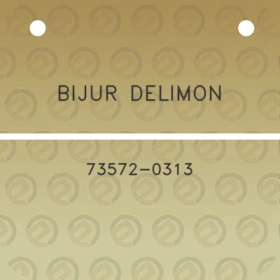 bijur-delimon-73572-0313