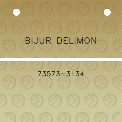 bijur-delimon-73573-3134