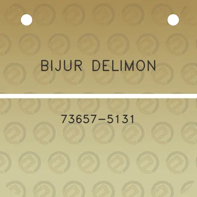 bijur-delimon-73657-5131