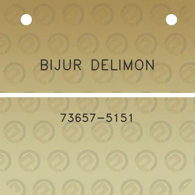 bijur-delimon-73657-5151