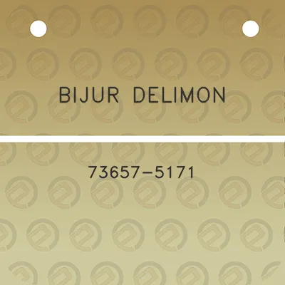 bijur-delimon-73657-5171