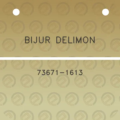 bijur-delimon-73671-1613