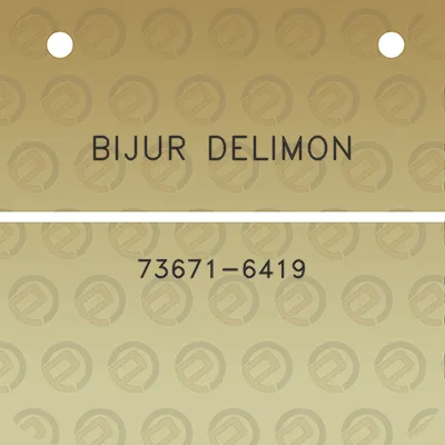 bijur-delimon-73671-6419