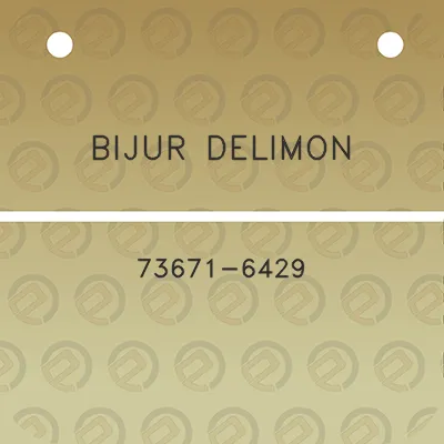 bijur-delimon-73671-6429