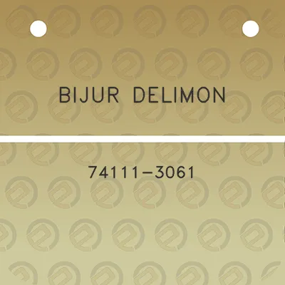 bijur-delimon-74111-3061