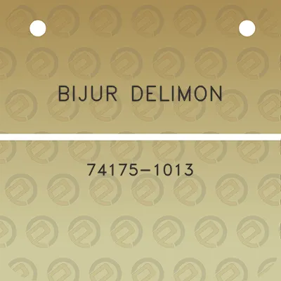 bijur-delimon-74175-1013