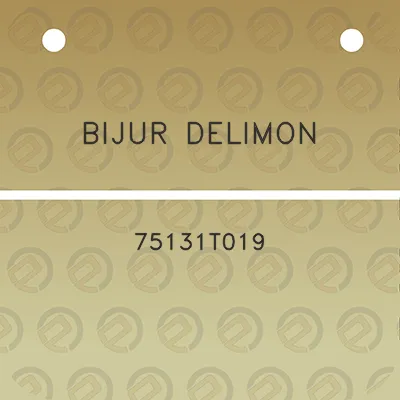 bijur-delimon-75131t019