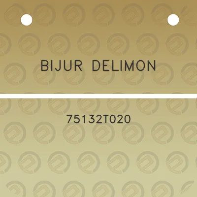 bijur-delimon-75132t020