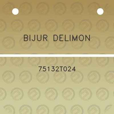 bijur-delimon-75132t024