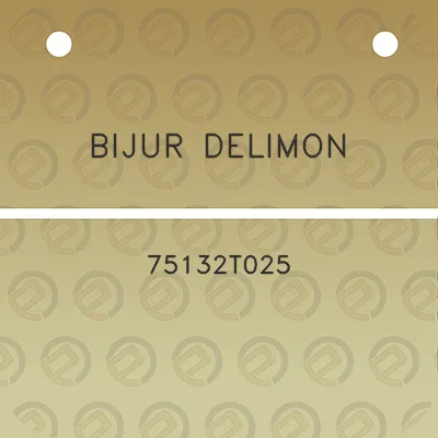 bijur-delimon-75132t025